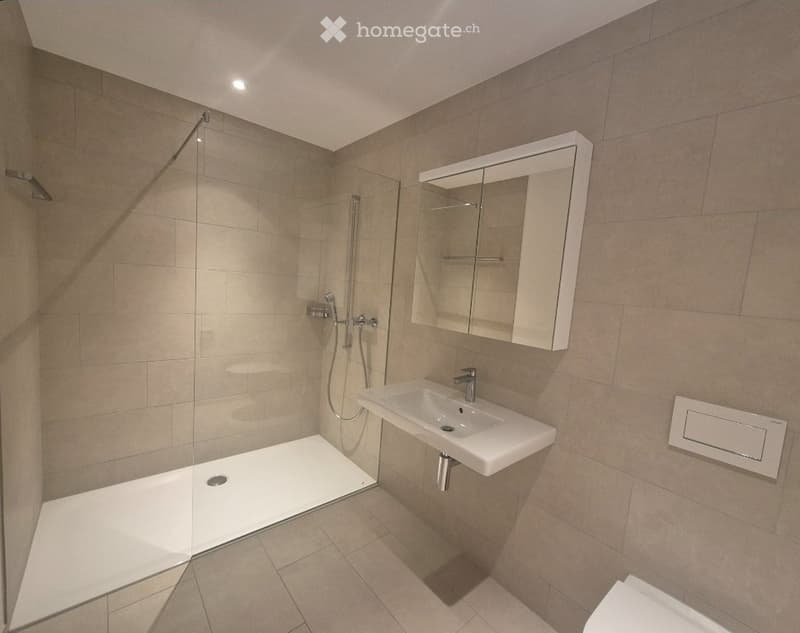 Grosszügige 4.5 Zimmer Wohnung im Mythenhof, Kanton Schwyz (4)
