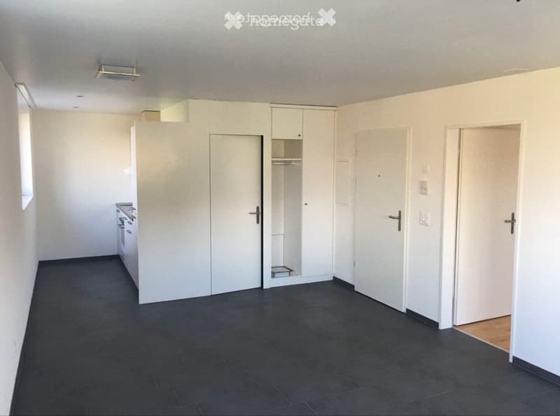 Modernes 2-Zimmer-Studio in Kerzers - ab sofort! (3)