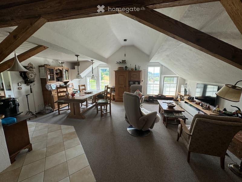 Helle 3 -Zimmer-Dachwohnung mit Loft-Charakter und Weitblick (4)