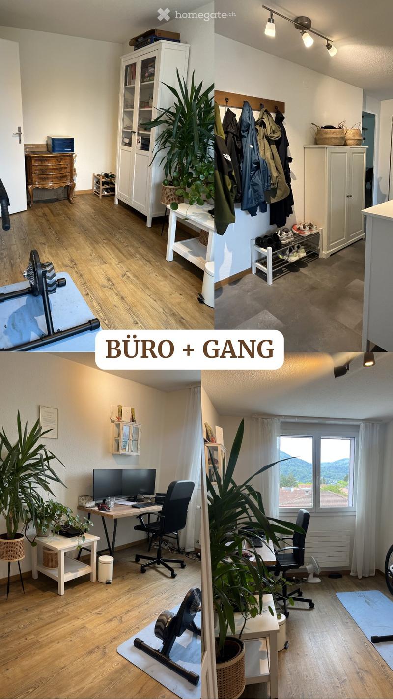 3.5 Zimmerwohnung in Thun zu vermieten (Zwischenmiete) (4)