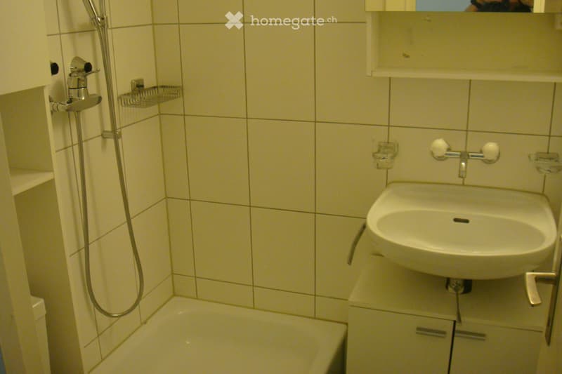 1-Zimmerwohnung (5)