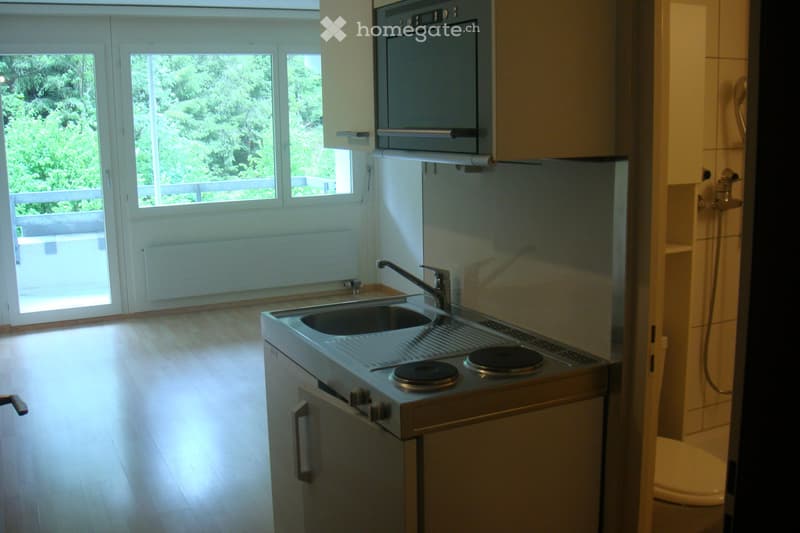 1-Zimmerwohnung (3)