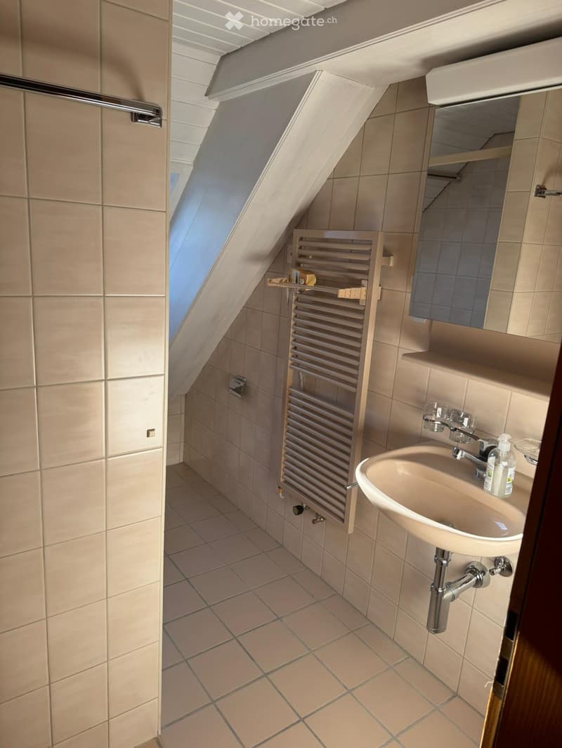 1.5 Zimmer zu Vermieten (4)