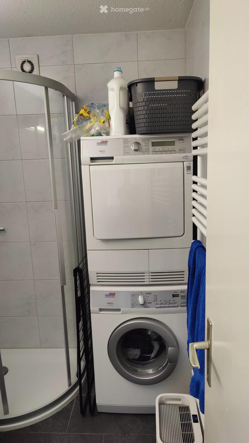 Studio Apartment in Adliswil (3)