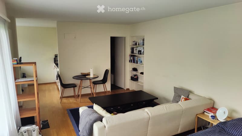 Studio Apartment in Adliswil (5)