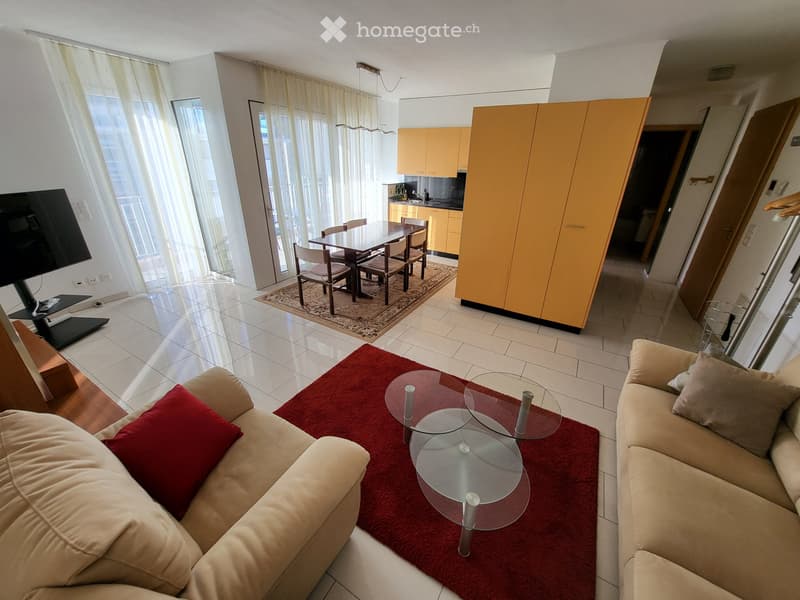 Appartamento ammobiliato (1)
