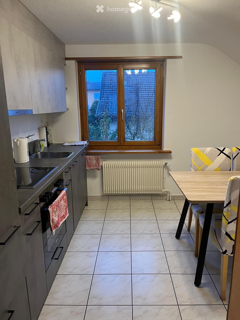 Free Room in Furnished Flat in Buchs SG (4)