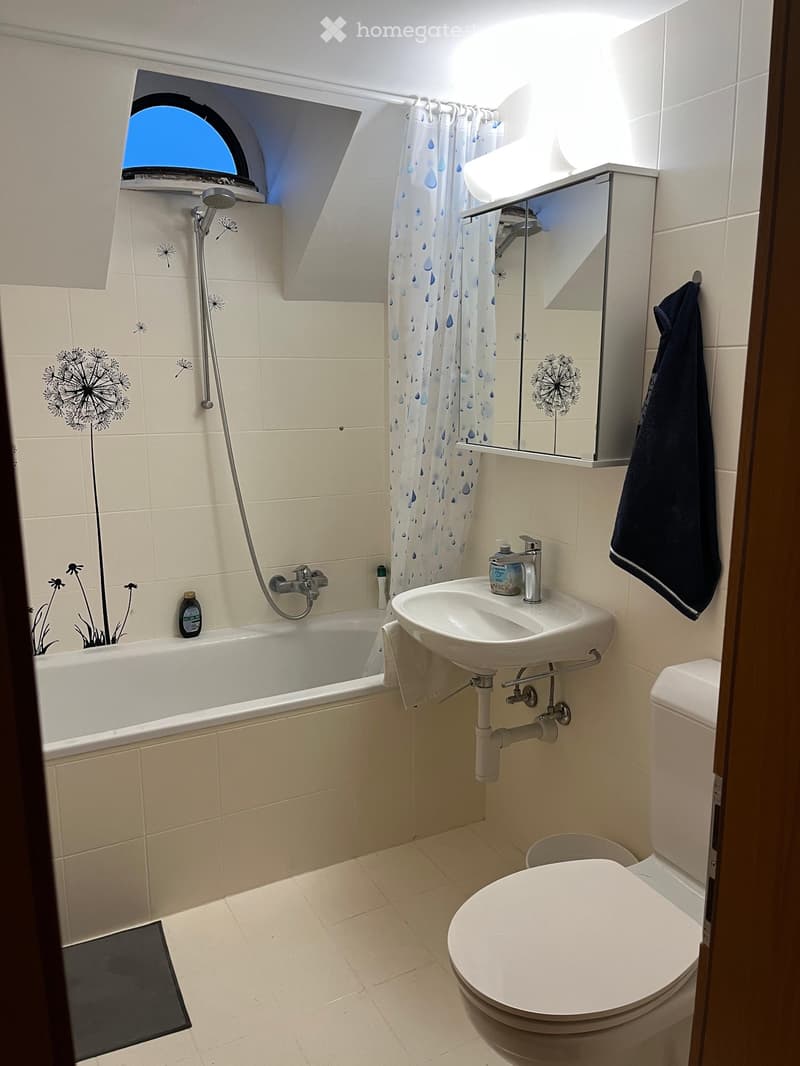 Free Room in Furnished Flat in Buchs SG (3)