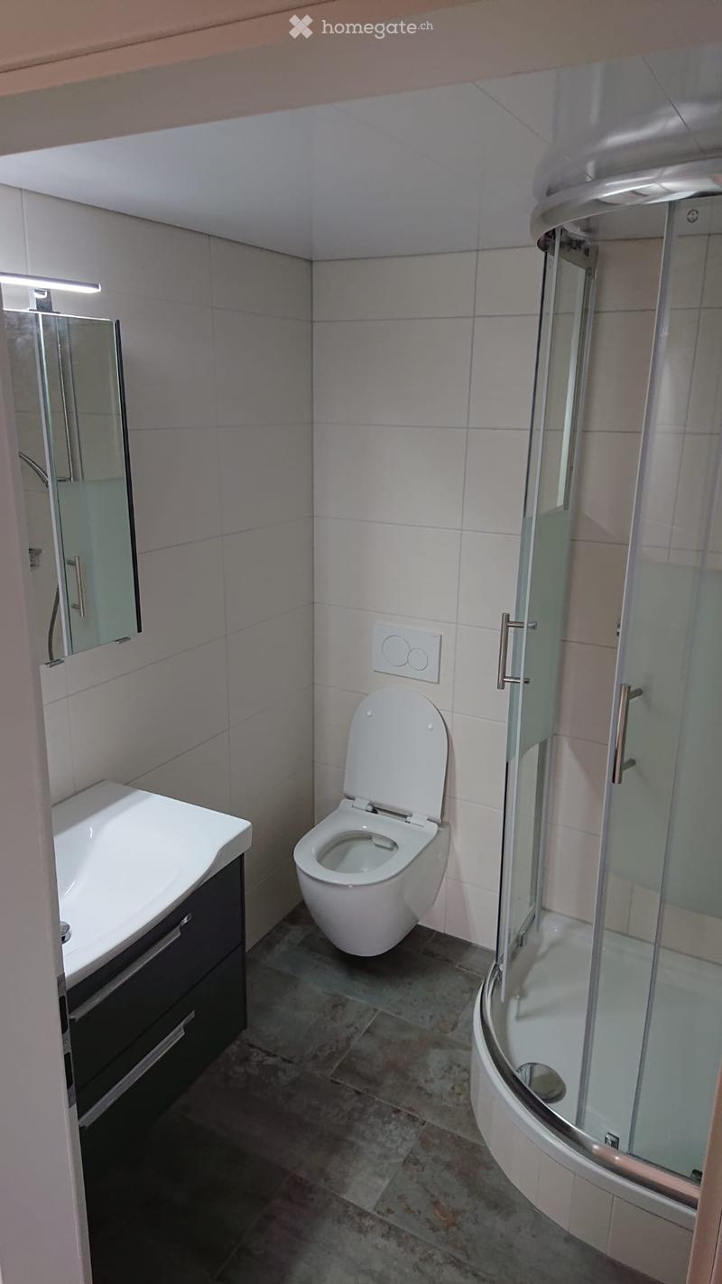 Ruhige 1.5 Zimmer-Gartenwohnung in EFH (4)