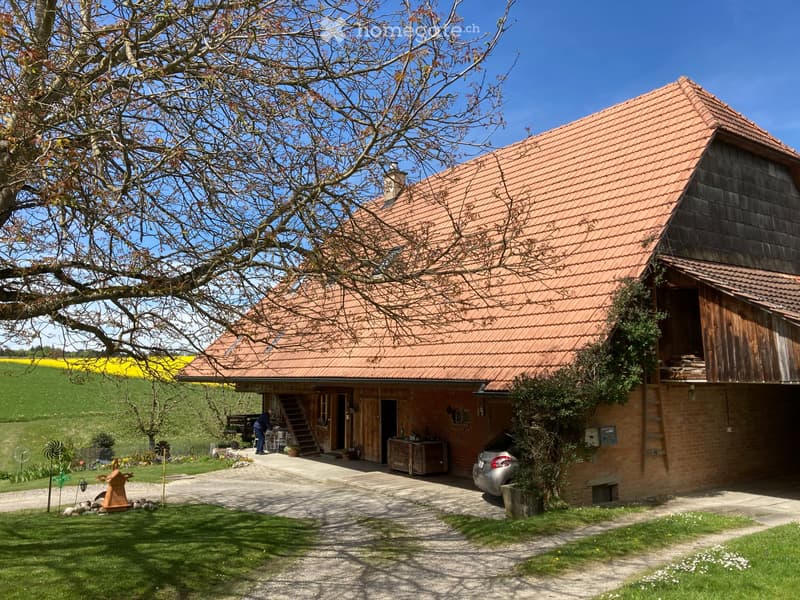 Heimelige Dachwohnung mit Gartensitzplatz (1)