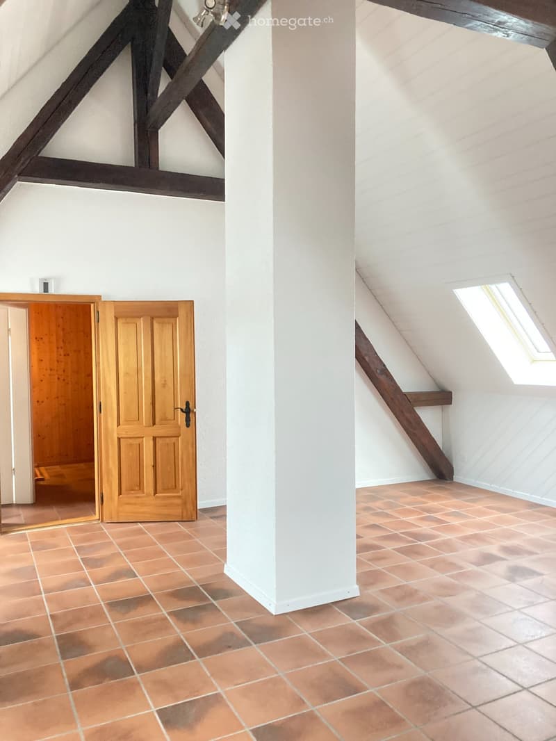 Heimelige Dachwohnung mit Gartensitzplatz (4)