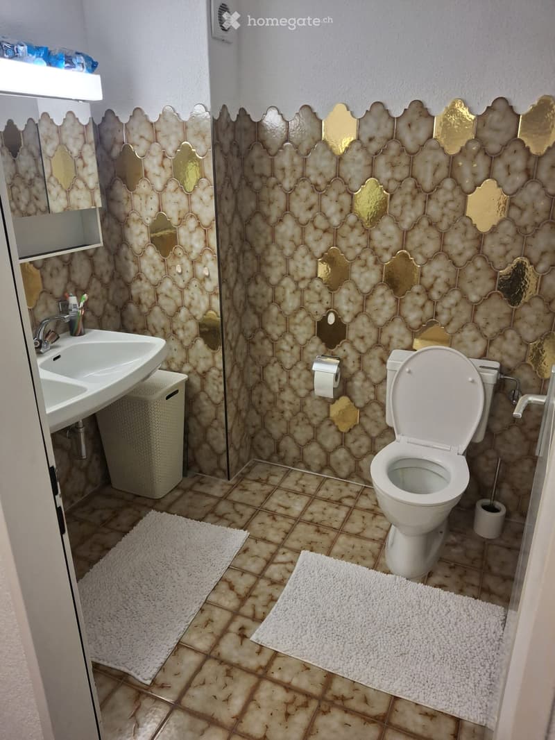 2.5-Zimmer-Wohnung nur 7 Gehminuten zum Bahnhof Frauenfeld (5)