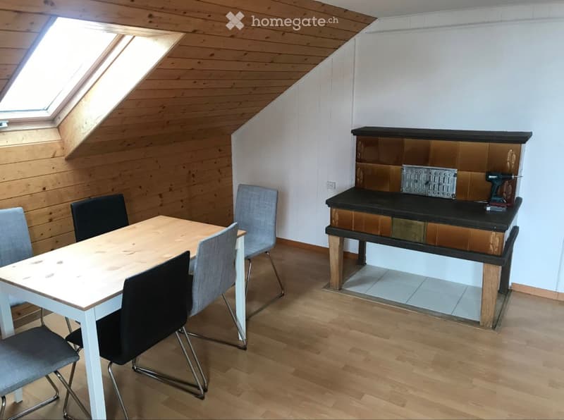 4,5-Zimmer-Wohnung zu vermieten (1)