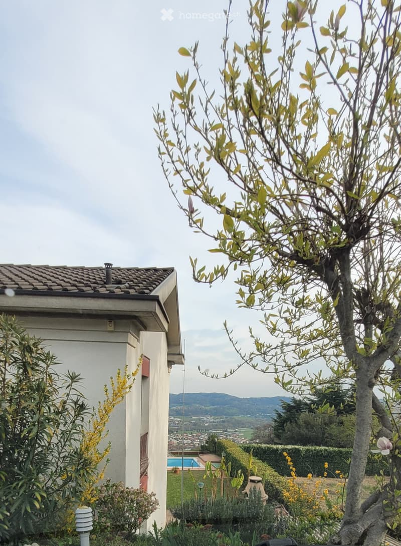 vendesi splendida villa con piscina nel Mendrisiotto (2)
