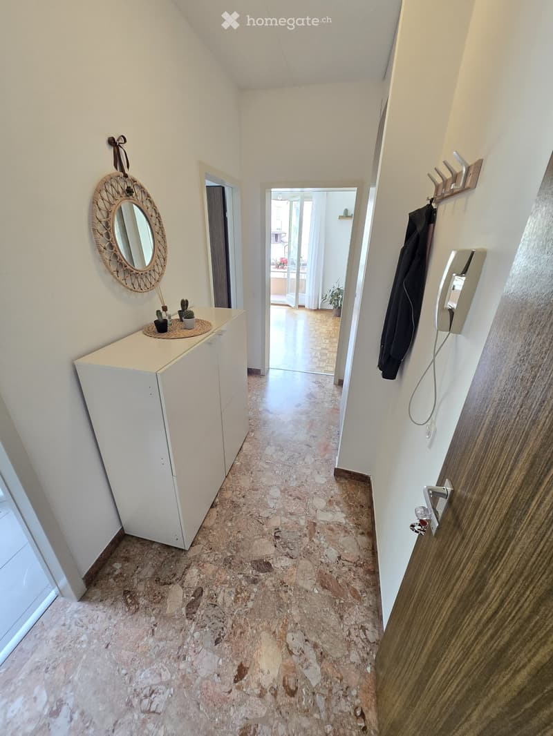 Appartamento 1.5 arredato - cucina separata (3)
