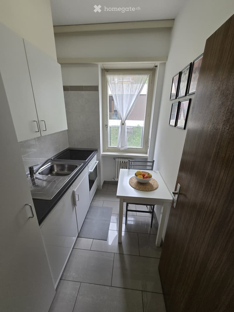 Appartamento 1.5 arredato - cucina separata (4)