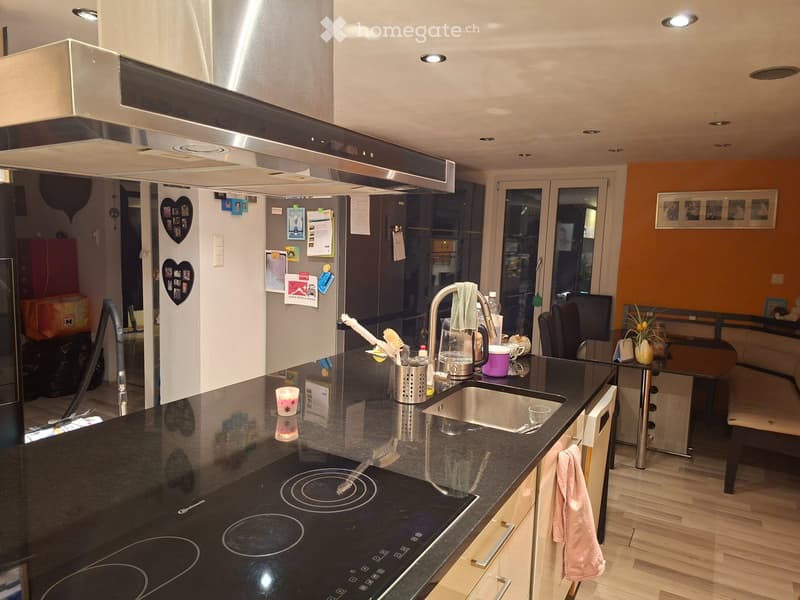 5.5 Einfamilienhaus, 880qm Grundstück (4)