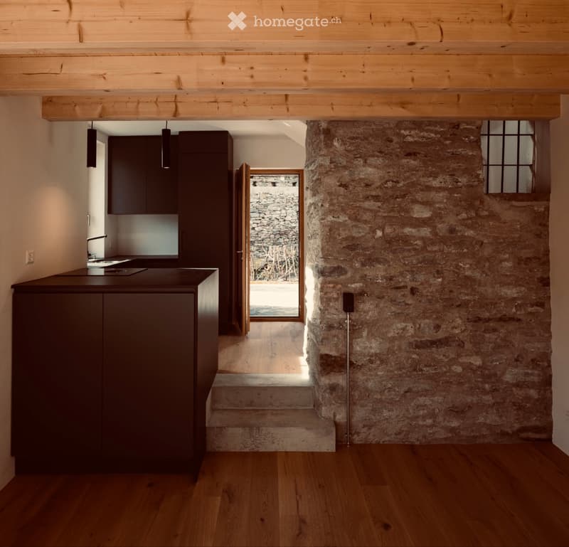 Casa Gordola (2)