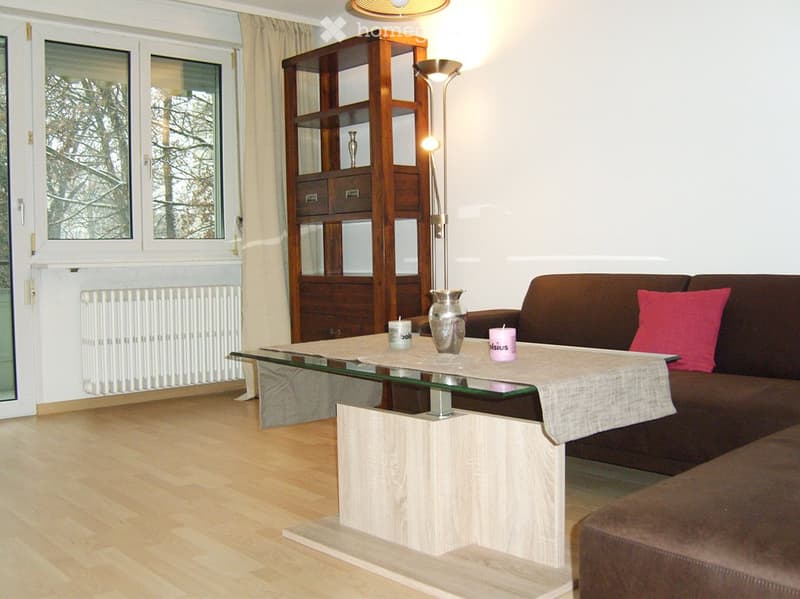 Möblierte 3-Zi-Wohnung ab 01.07.2026 - Nähe Uni/ETH (4)