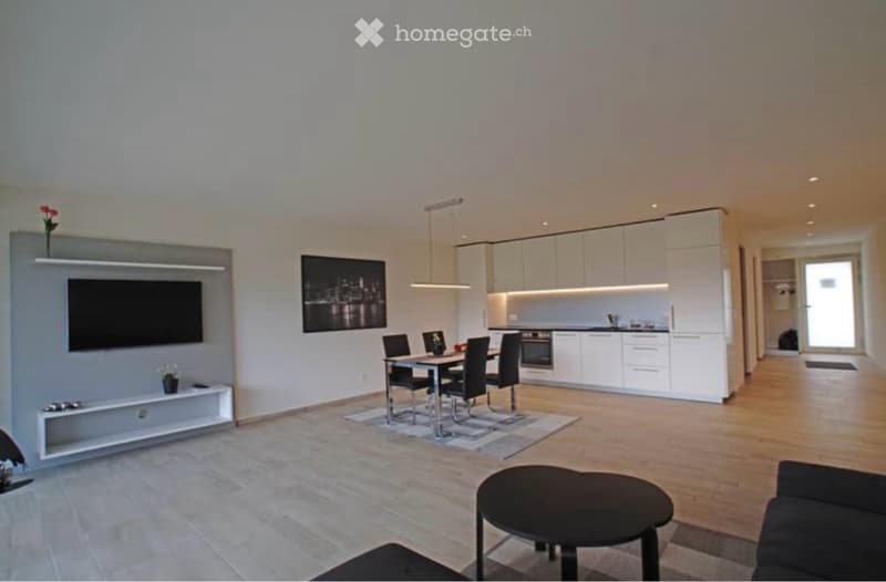 Moderne, möblierte 2.5-Zimmerwohnung (3)
