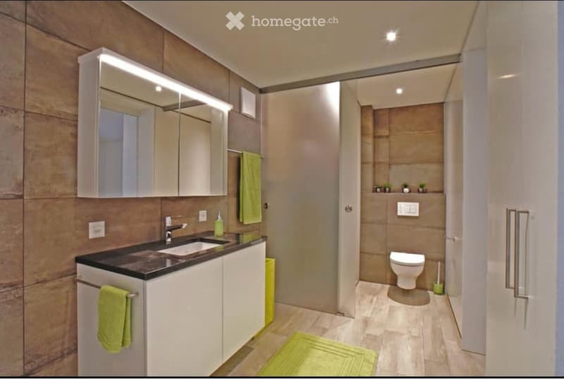 Moderne, möblierte 2.5-Zimmerwohnung (4)