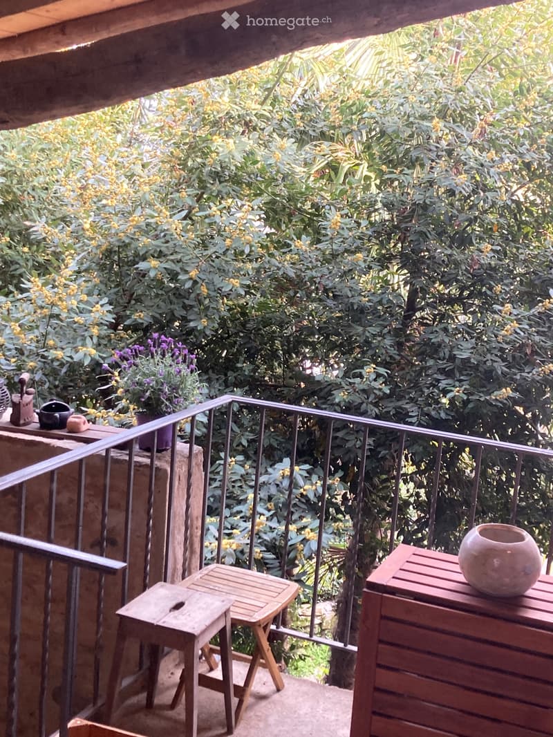 Rustico per vacanze (2)