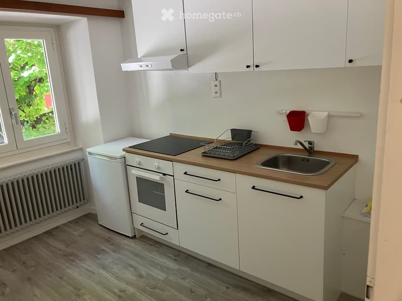 Affittasi appartamento 2,5 locali (4)