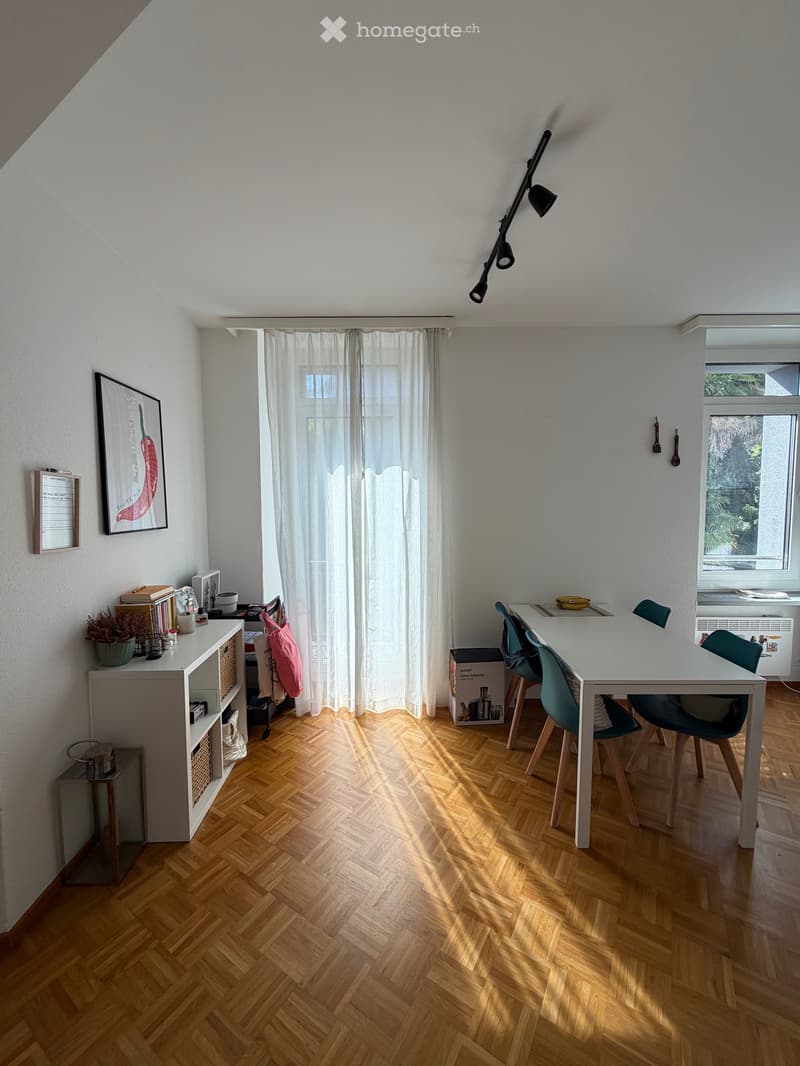 Appartamento 2.5 luminoso a Massagno (3)