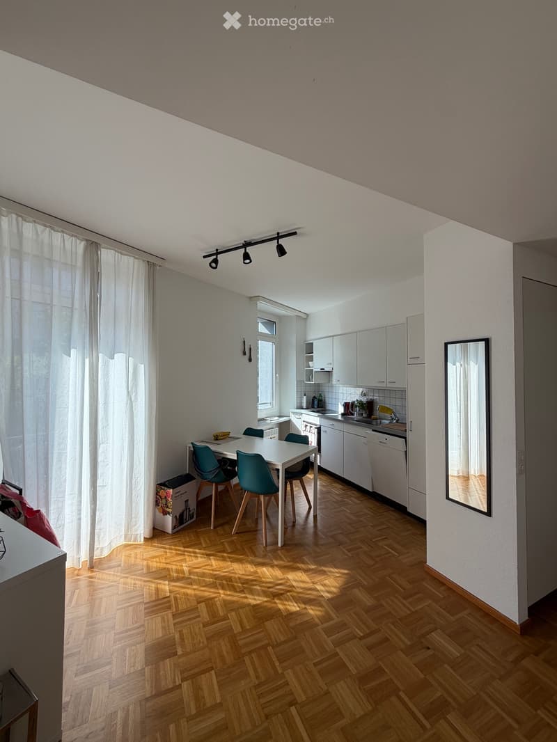 Appartamento 2.5 luminoso a Massagno (4)