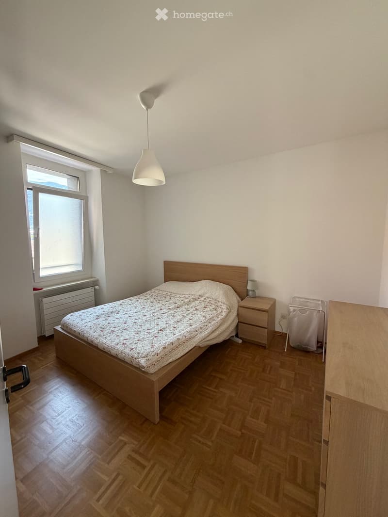 Appartamento 2.5 luminoso a Massagno (2)