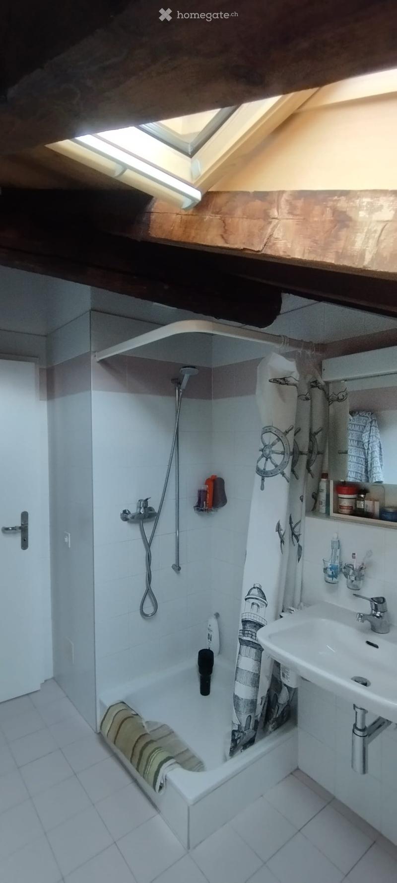 BIASCA AFFITTASI APPARTAMENTO DI 2 LOCALI AMMOBILIATO (4)