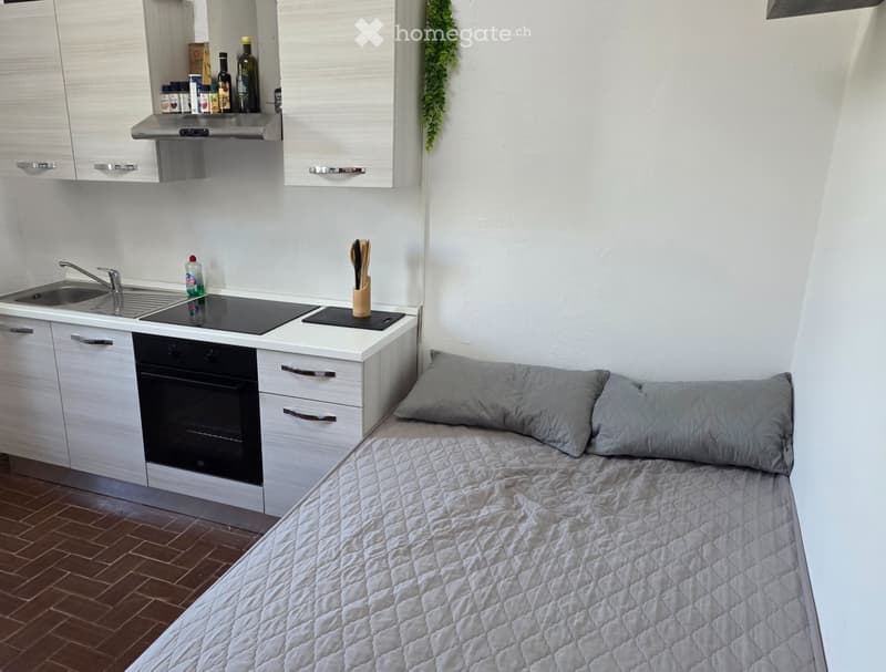 Chiasso - per single o coppia - 1mese deposito - min 3 mesi (3)