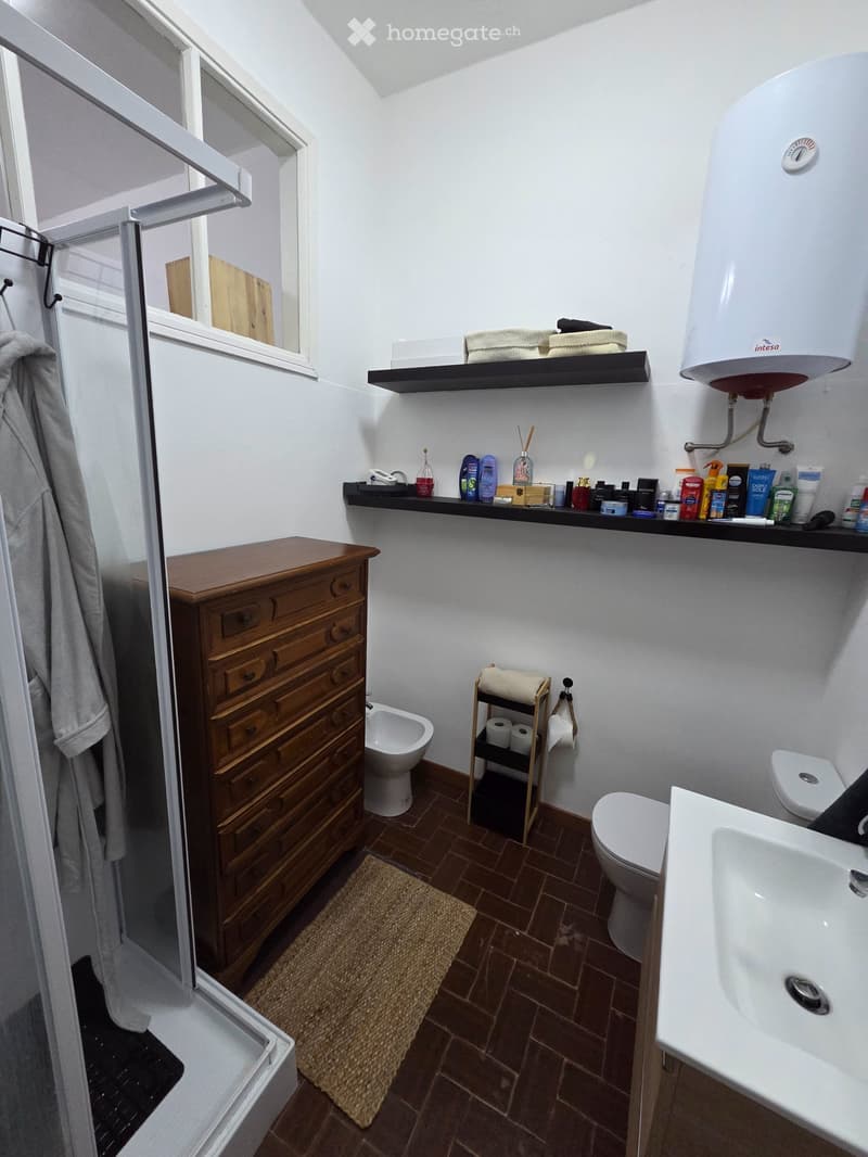 Chiasso - per single o coppia - 1mese deposito - min 3 mesi (9)