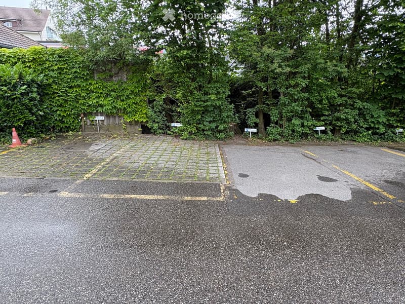 3.5 Zimmerwohnung im Hochparterre (4)