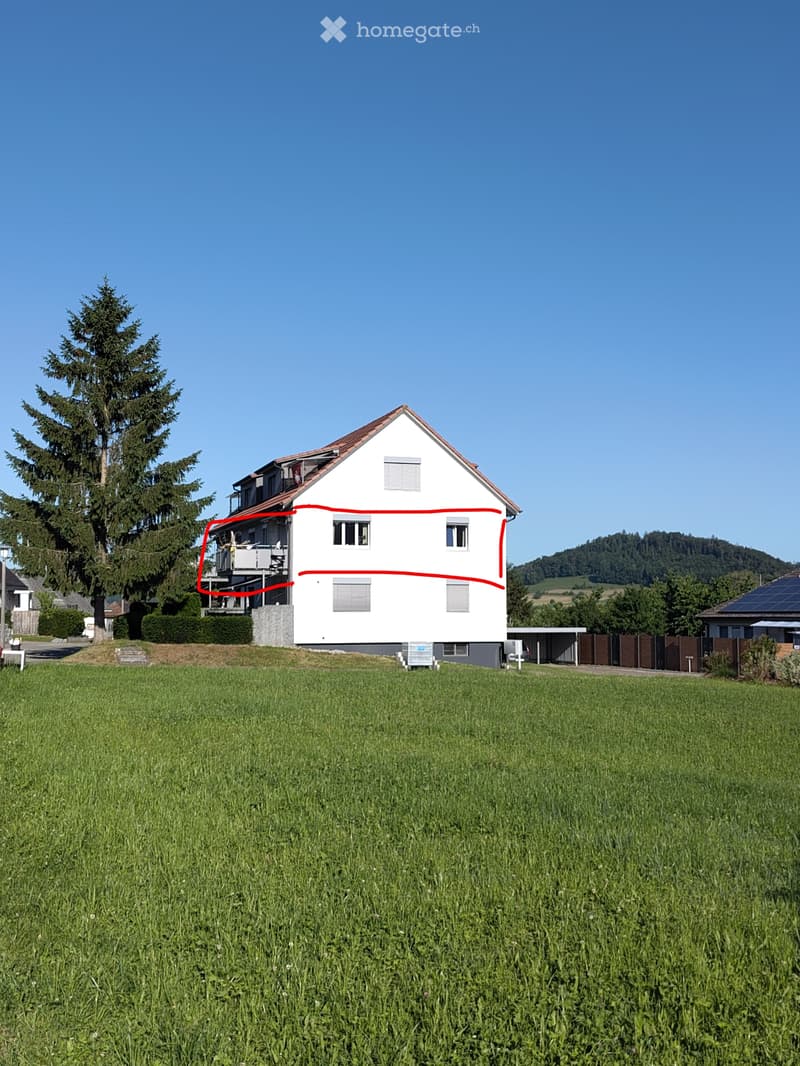 Schöne 4.5 Zimmerwohnung (3)