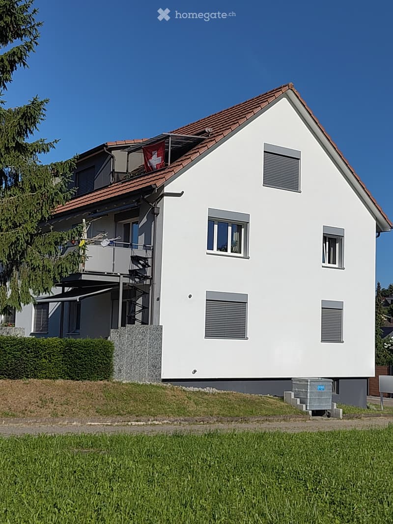 Schöne 4.5 Zimmerwohnung (2)