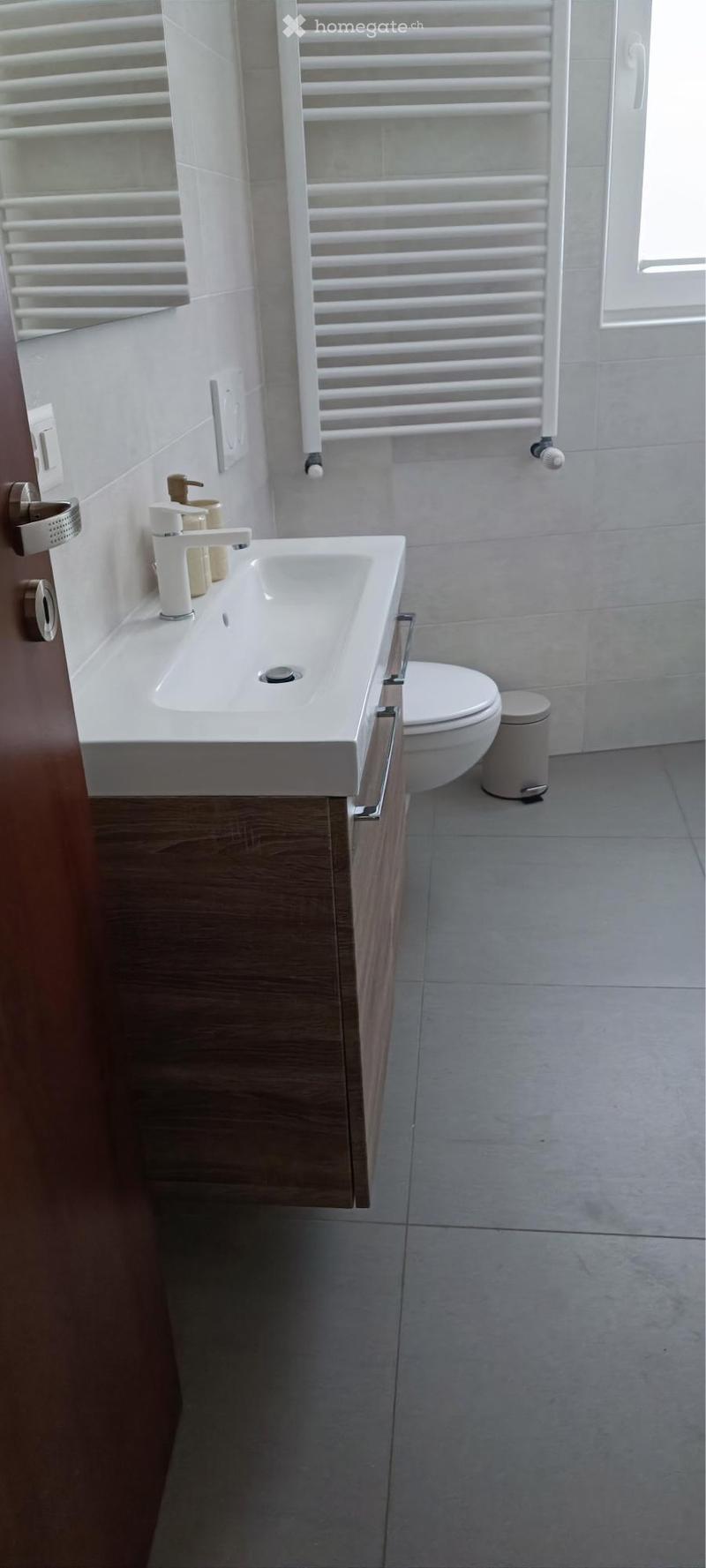 Appartamento 2.5 locali ammobiliato (5)