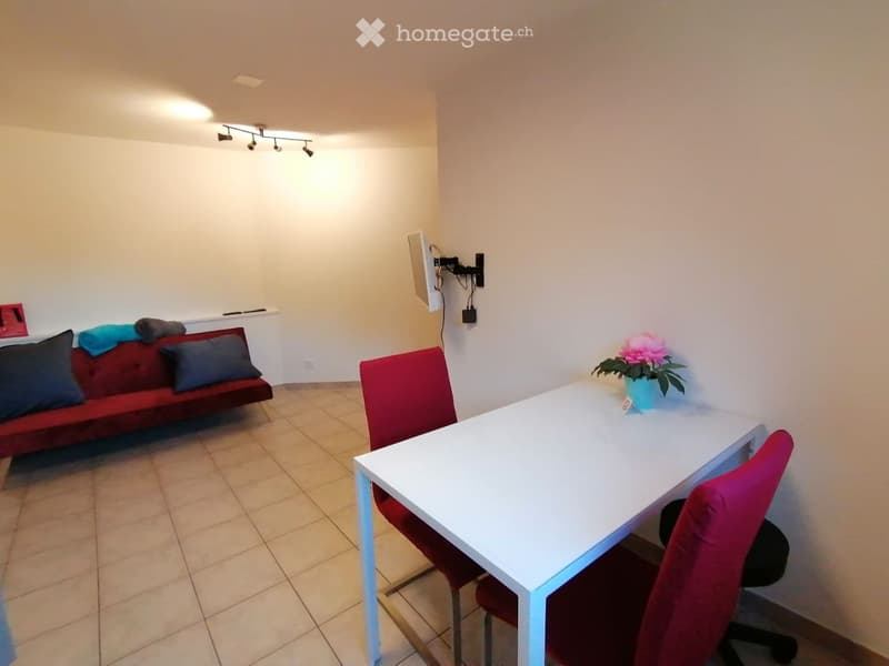 Schöne 2.5-Zi.-Ferienwohnung inkl. Parkplatz, 2.Wohnsitz (5)