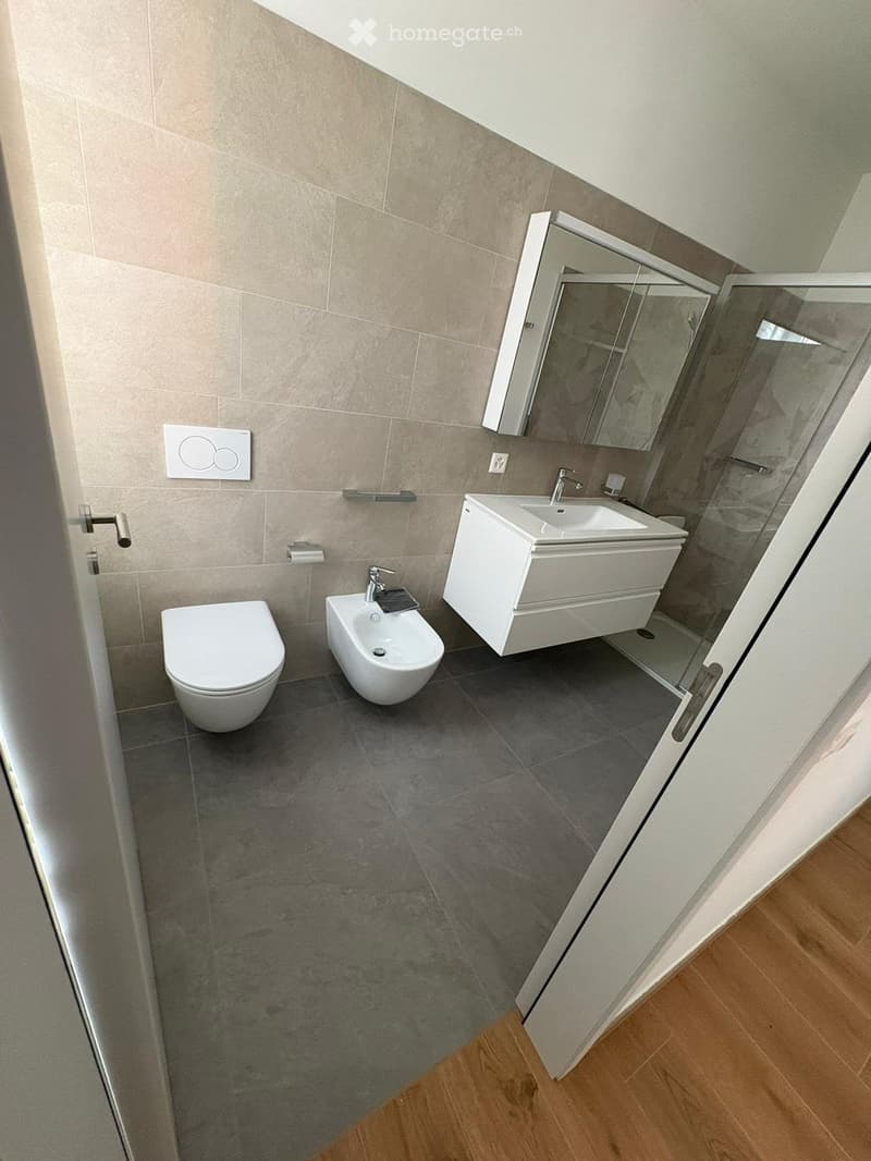 Appartamento ristrutturato 3.5 locali con giardino - Lugano (2)