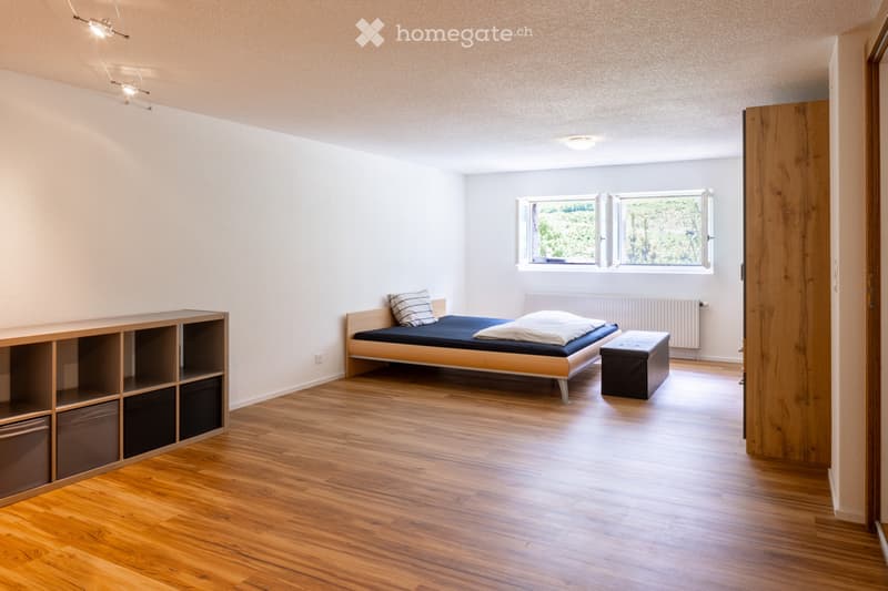 2.5 Zimmer Wohnung oder Ferienwohnung in Gurtnellen, UR (4)
