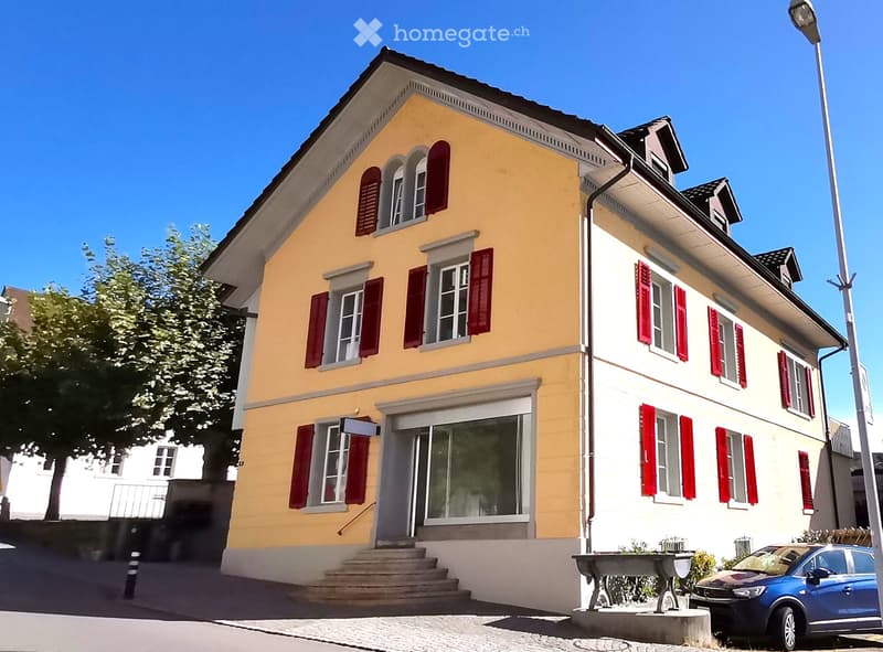 Sonnige 4.5 Zimmer-Wohnung mit grosser Terrasse (1)