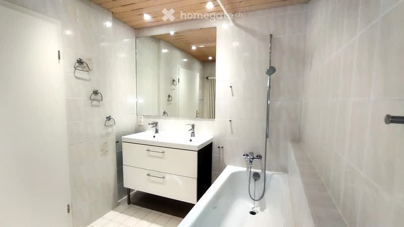 Sonnige 4.5 Zimmer-Wohnung mit grosser Terrasse (4)