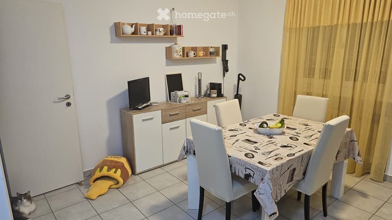 Cercasi subentrante per appartamento di 4 locali a Balerna (2)