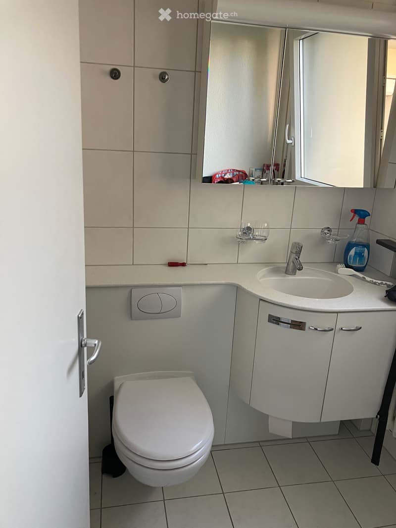 1.5 Zimmerwohnung nach Vereinbahrung (4)