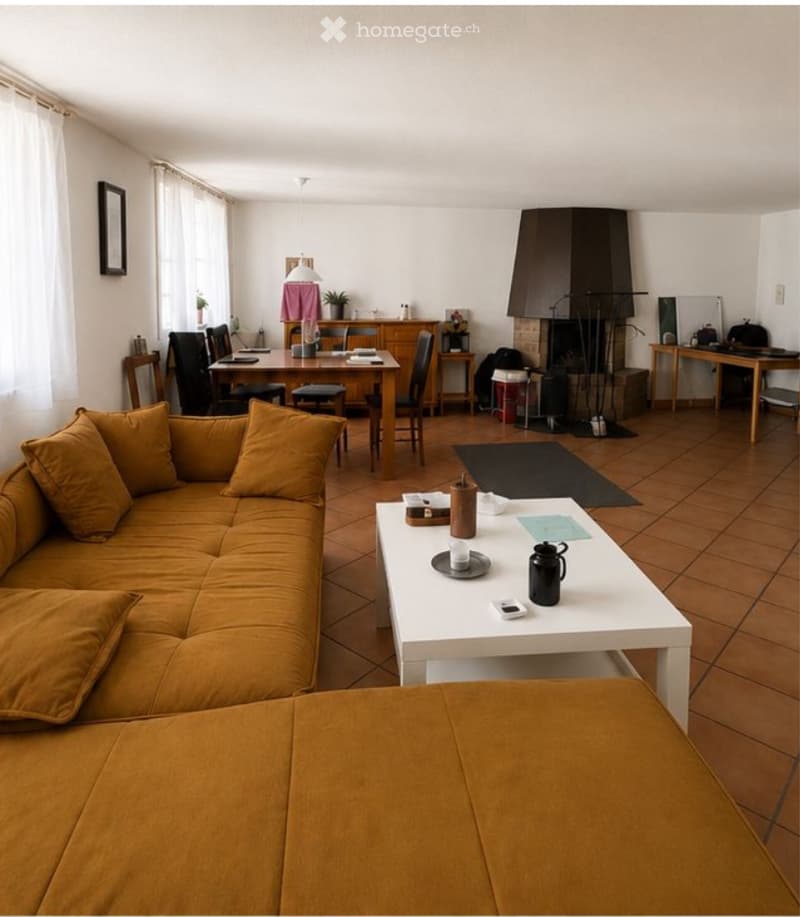 5.5 Zimmerwohnung mit Chemine und viel charme (5)