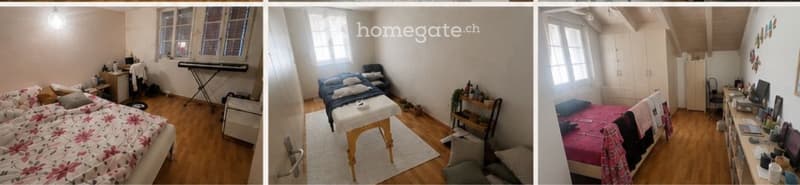 5.5 Zimmerwohnung mit Chemine und viel charme (1)