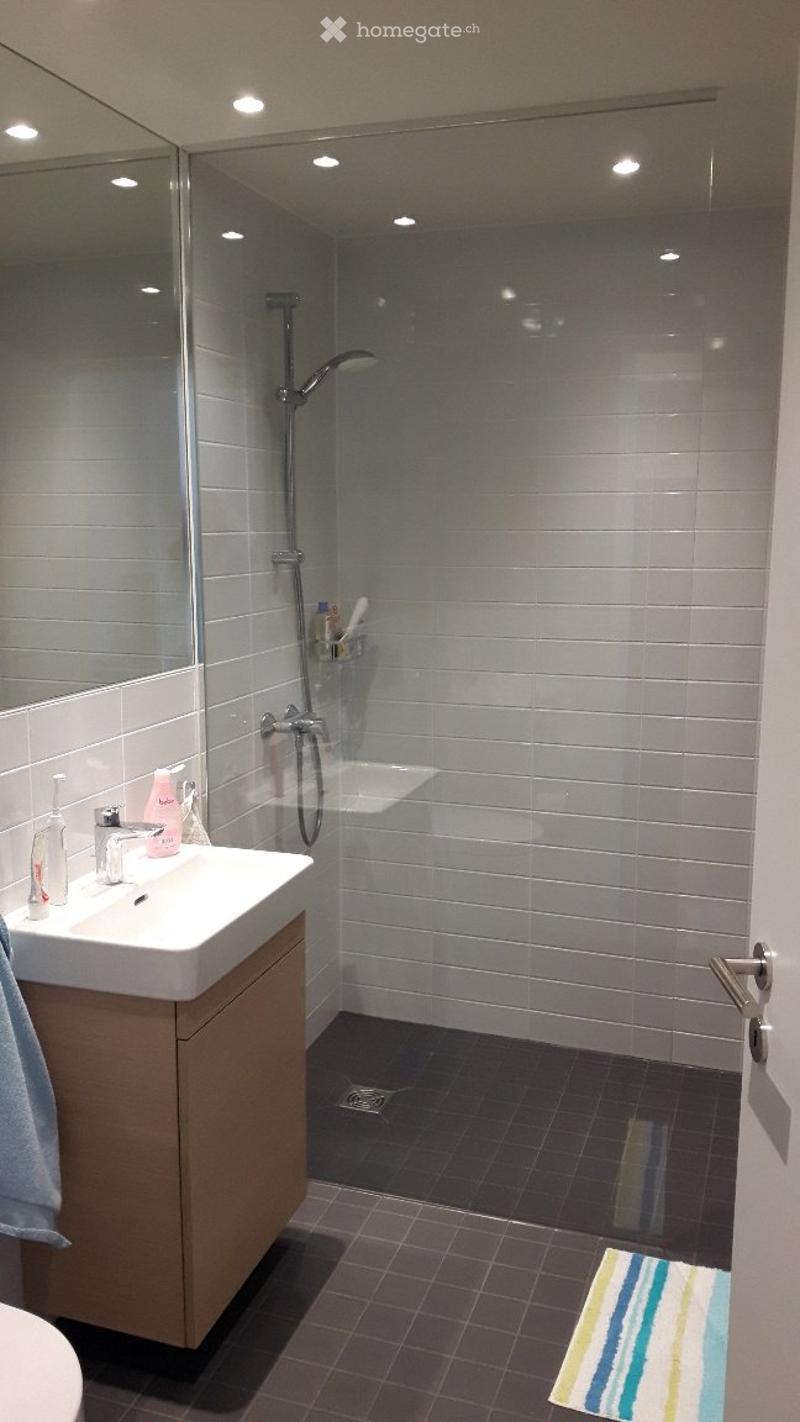 Möbliertes 1.5-Zimmer-Studio in Adliswil (Juli-August 2026) (3)