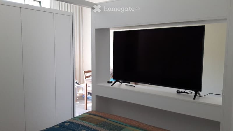 Möbliertes 1.5-Zimmer-Studio in Adliswil (Juli-August 2026) (5)