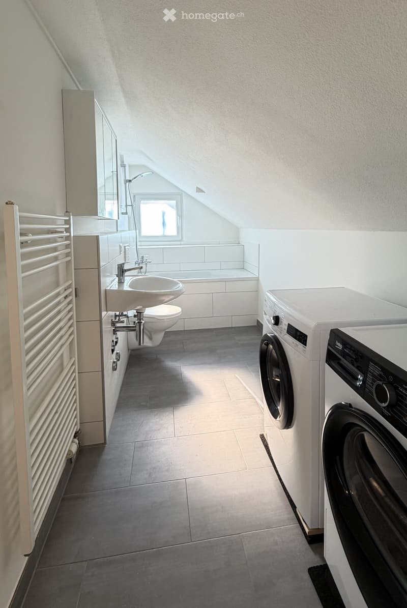 Helle, frisch renovierte 3 Zimmer Wohnung (5)