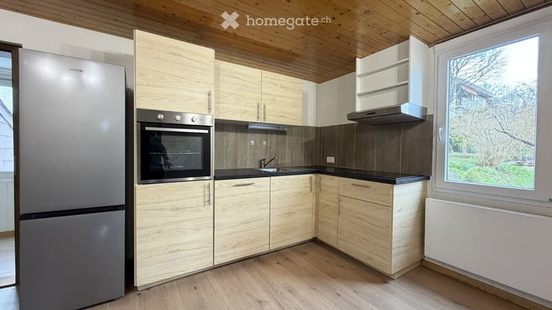 Helle, frisch renovierte 3.5 Zimmer Wohnung (1)